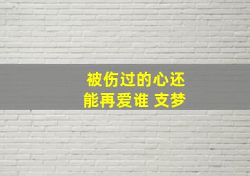 被伤过的心还能再爱谁 支梦